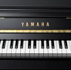 YS1